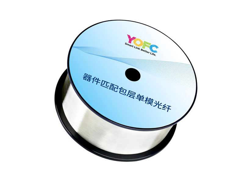 器件匹配包层单模光纤 (CSF)